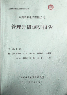 2011年3月15日，正睿咨詢專家向凱東決策層陳述調(diào)研報告