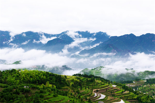 管理咨詢如何助力溫州企業(yè)戰(zhàn)略規(guī)劃落地？