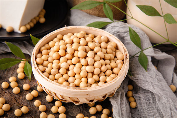 從績(jī)效管理角度分析：中國(guó)買巴西大豆讓美國(guó)農(nóng)民慌了