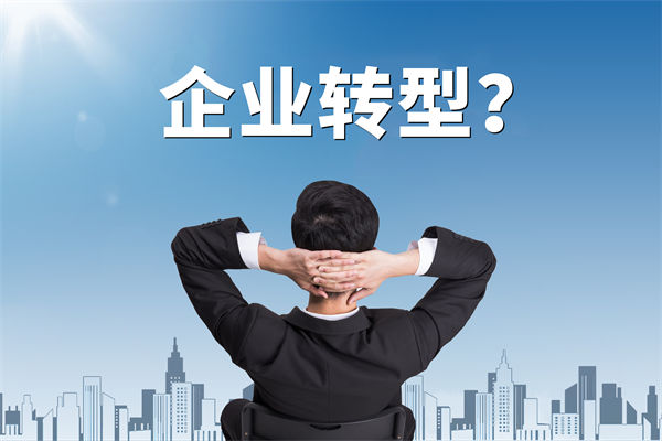 企業(yè)轉(zhuǎn)型無方向，數(shù)智化咨詢公司能否指引明路？